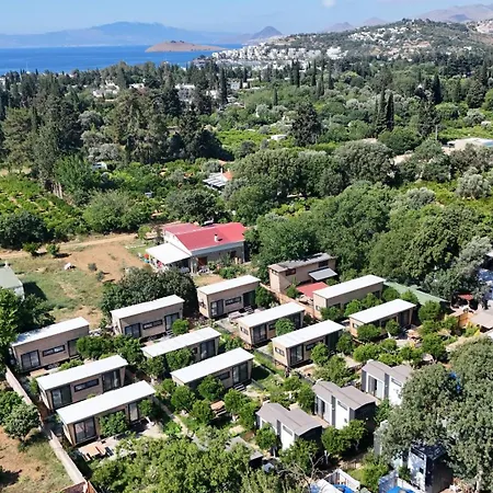 Gaia Tiny Butik 3* Αλικαρνασσός