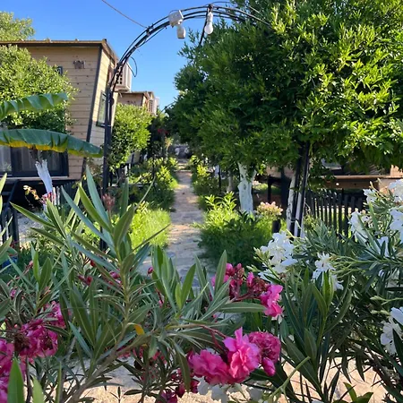 Bed & Breakfast Gaia Tiny Butik Bodrum