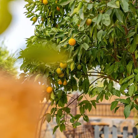 Gaia Tiny Butik B&B 3*