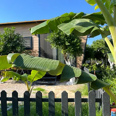 Gaia Tiny Butik Frühstückspension