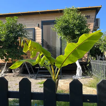 Gaia Tiny Butik B&B 3*